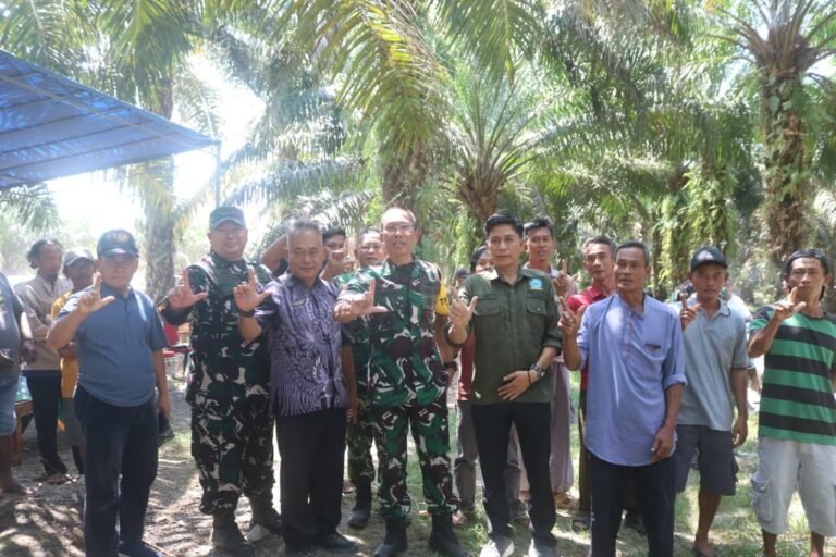featured-image-981